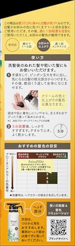 ブローネ　ナチュリラ　色長持ちカラートリートメント　アッシュブラウン　本体 2