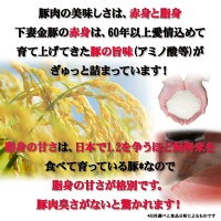 骨付きハム 3