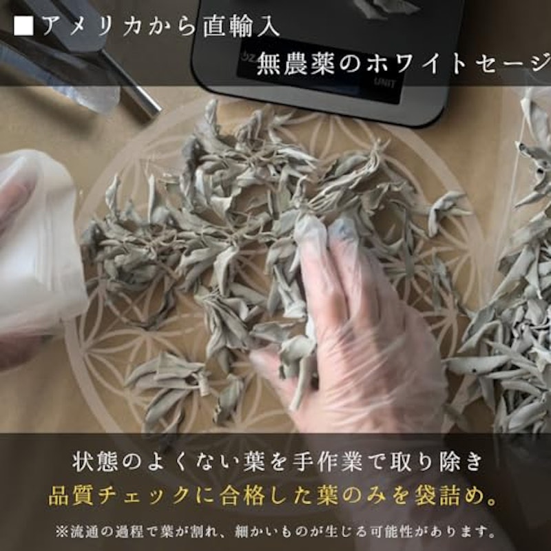 ホワイトセージ 3