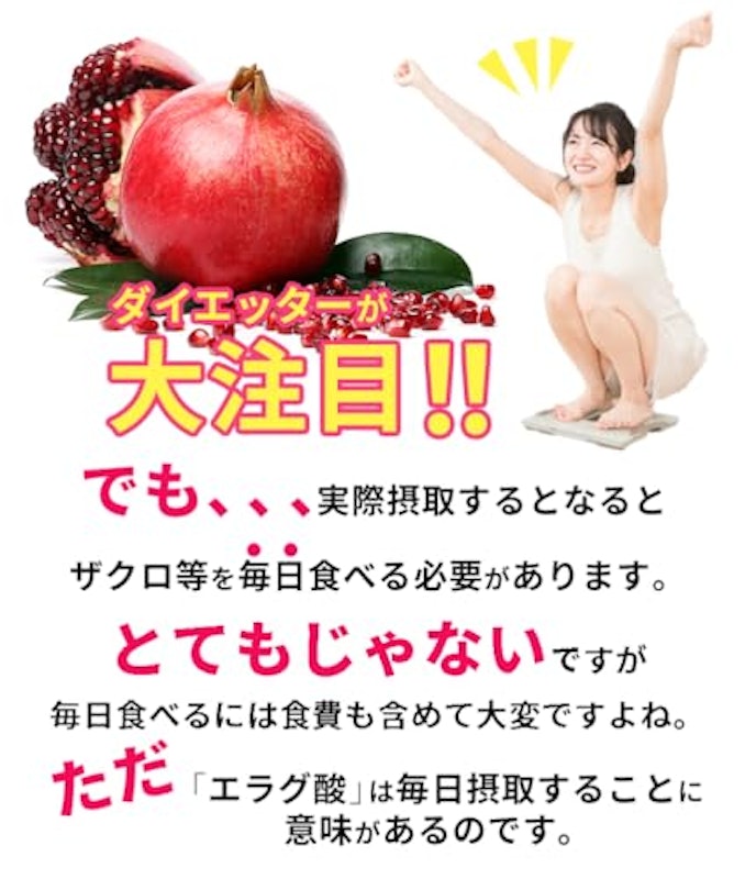 たっぷり約半年分大容量エラグ酸 3