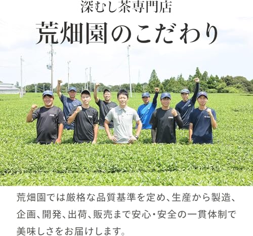 大地の詩 がぶがぶ飲める静岡深むし茶 4
