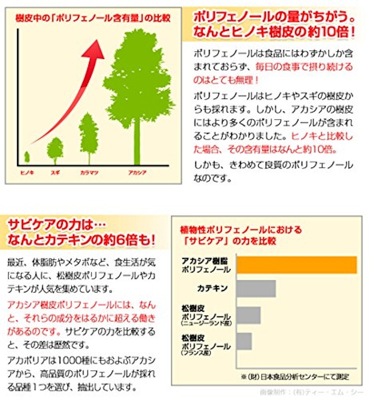アカシアのアカポリ 3