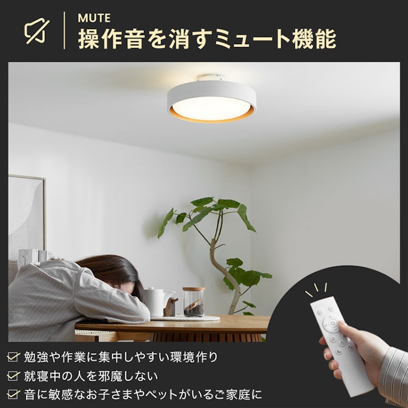 シーリングライト 12