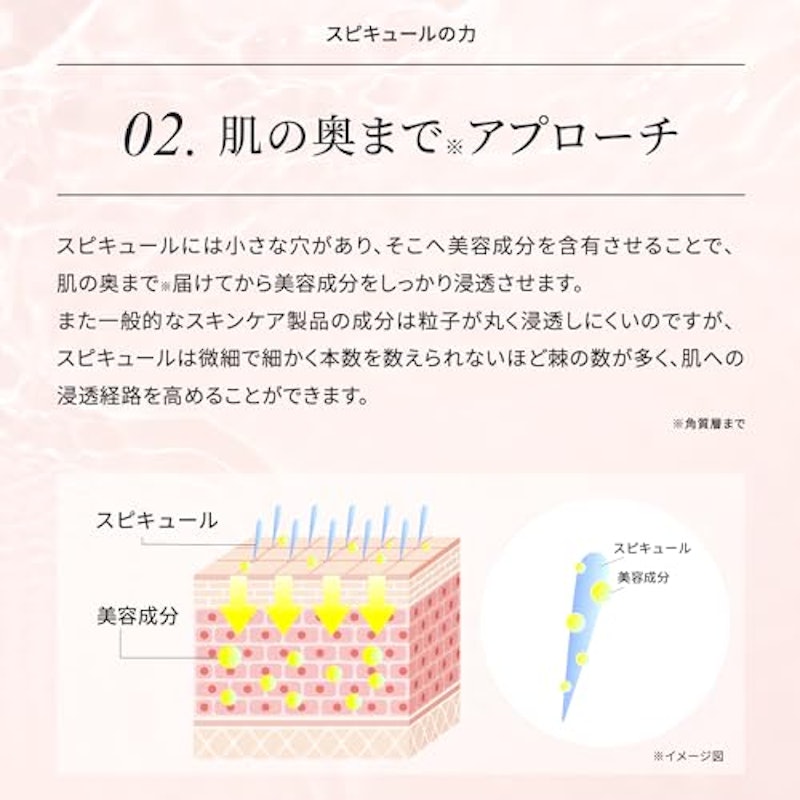HARI スピキュール+ 5