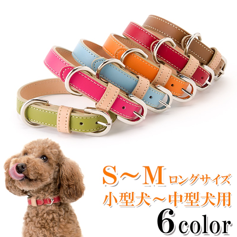 シンプルベーシック首輪 1
