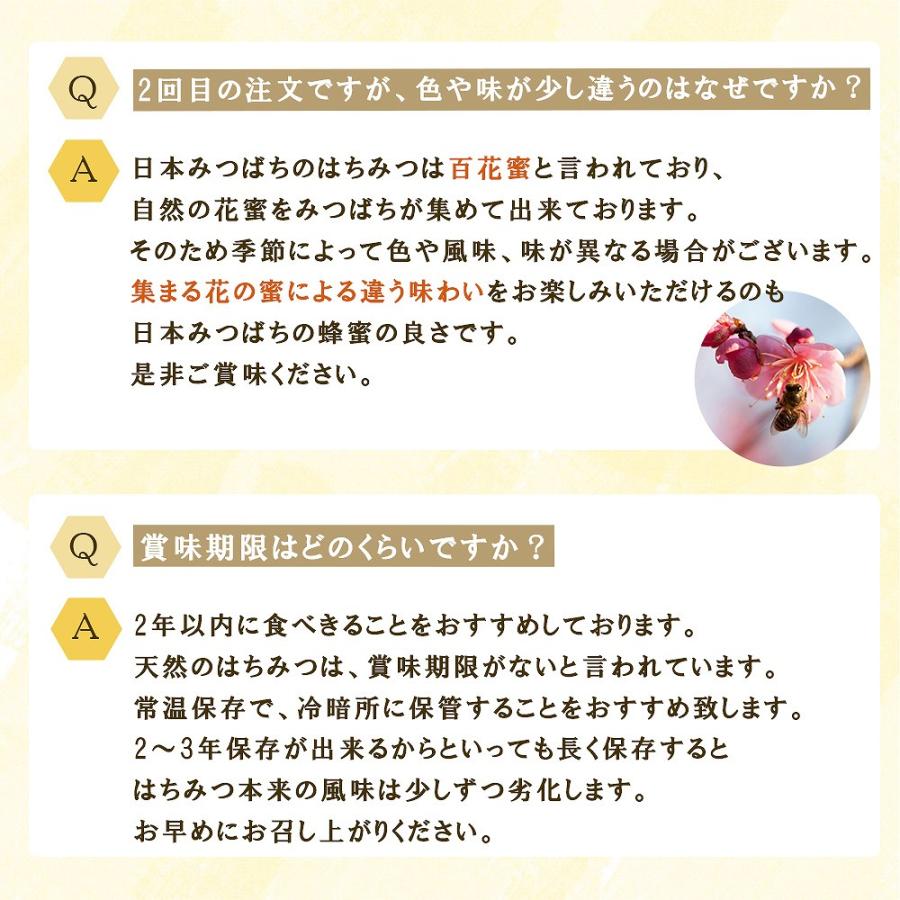 菌ちゃんげんきっこ 12