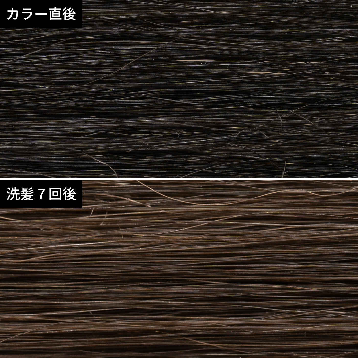 21年 黒染めのおすすめ人気ランキング9選 徹底比較 Mybest