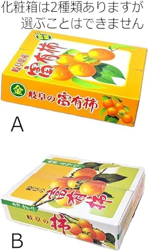 太田丸金 富有柿 5
