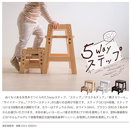 5wayステップ 2