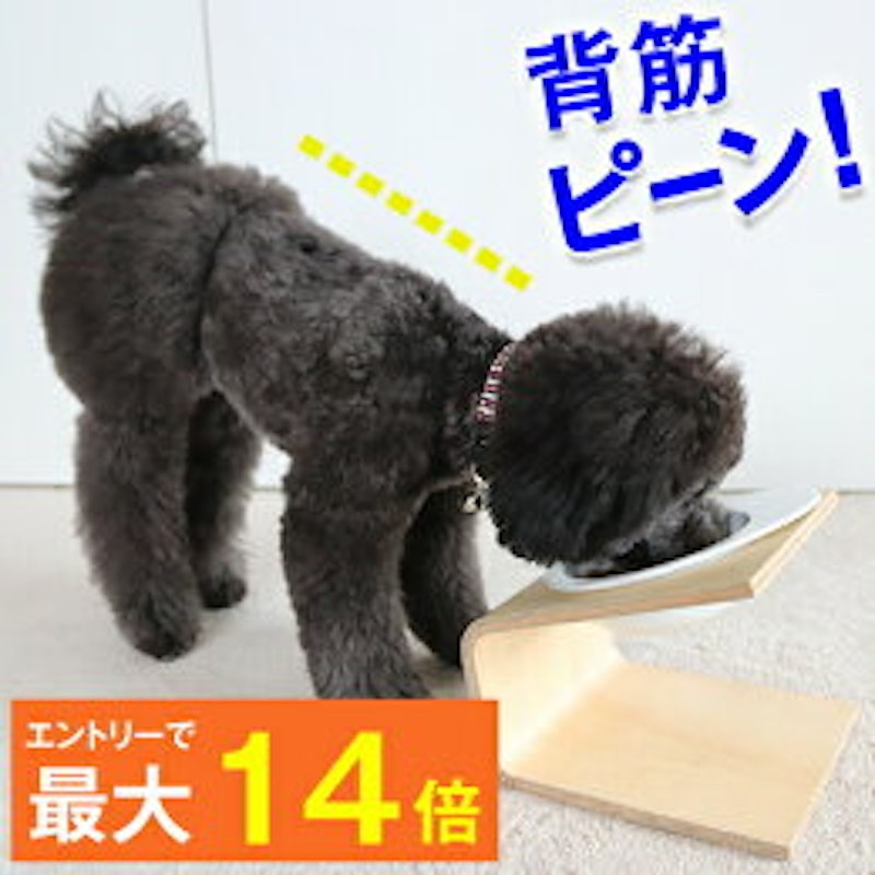 iDog Living Keat キート 2
