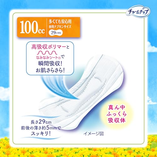 ナプキンタイプ 3