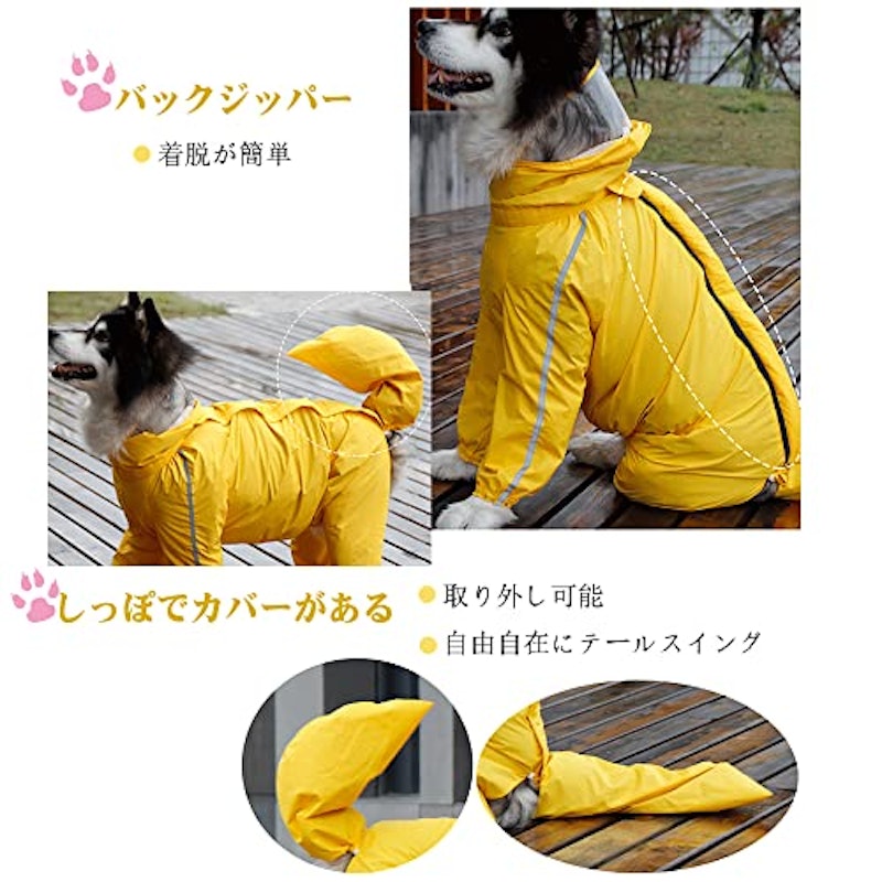 犬用レインコート 2