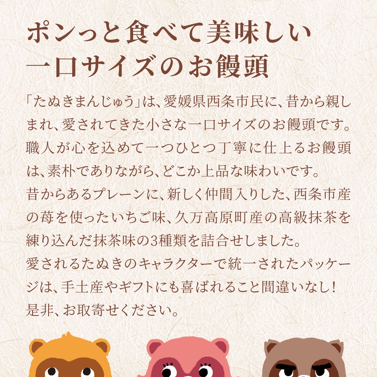 たぬきまんじゅう 6個入り 詰め合わせセット 2