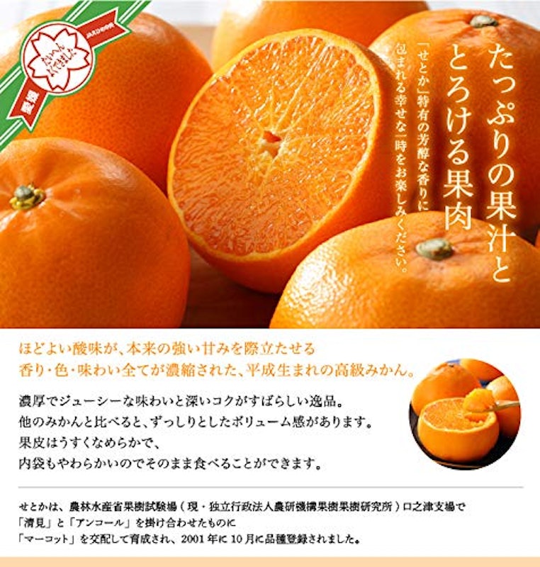 せとか 赤秀 匠と極 3