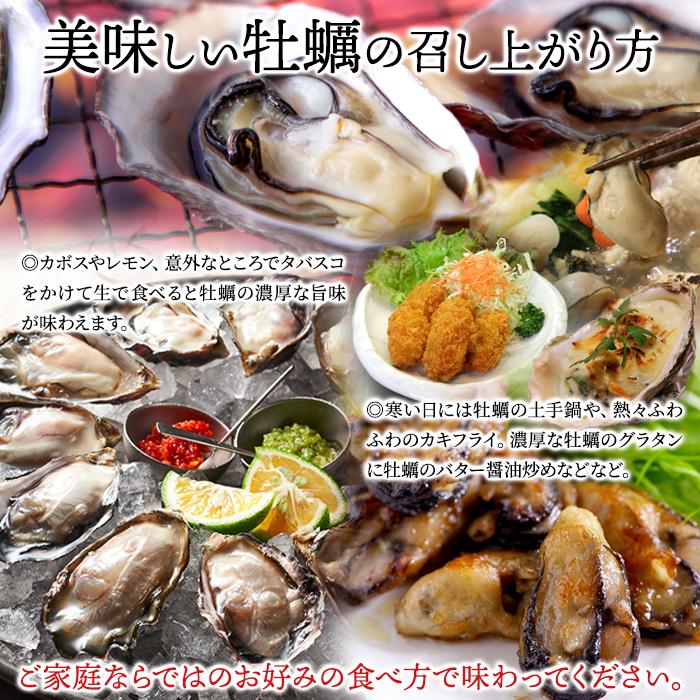 殻付き生牡蠣 ひがた美人 7