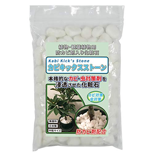  観葉植物用 防カビ剤入り化粧石 1