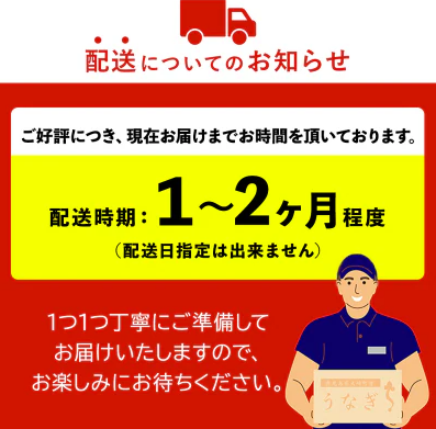 鹿児島県産 うなぎ長蒲焼 4