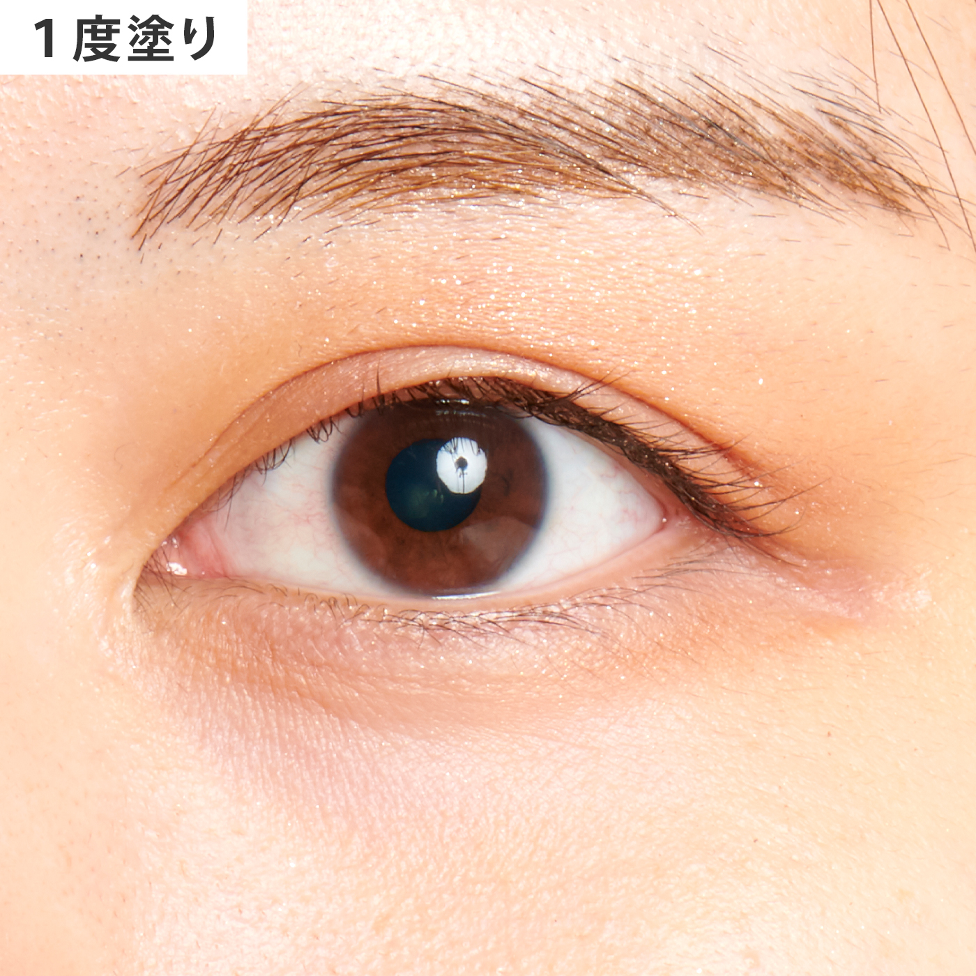 プロ アイ パレット 6