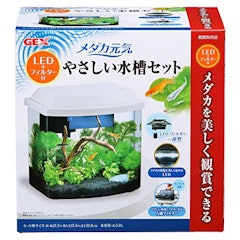 22年 メダカ飼育水槽のおすすめ人気ランキング18選 Mybest 22年 メダカ飼育水槽のおすすめ人気ランキング18選 Mybest