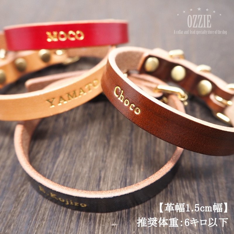 可愛い 犬用首輪のおすすめ人気ランキング22選 Mybest