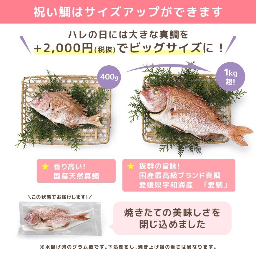 サンリオキャラクターズ お食い初め膳スイートベイビーズ 13