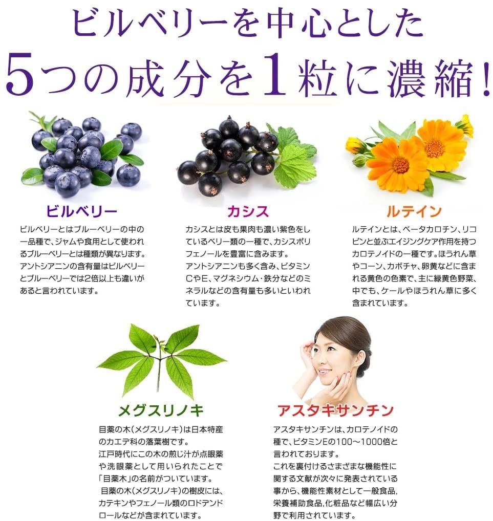 ビルベリー 3