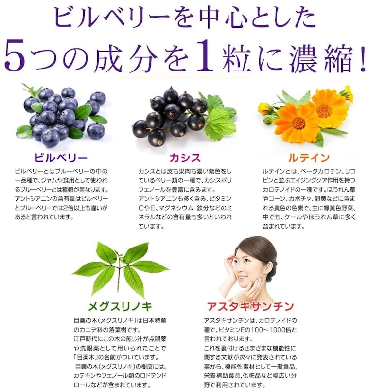 ビルベリー 3