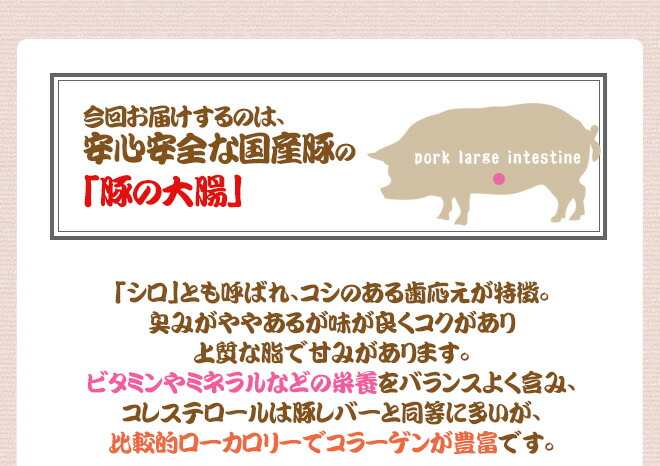  国産 豚大腸 5