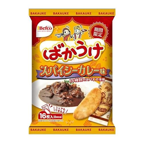 スパイシーカレー味 1