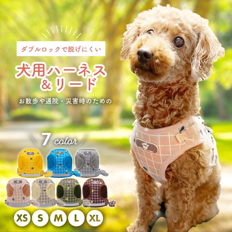 犬用ハーネス&リード 1