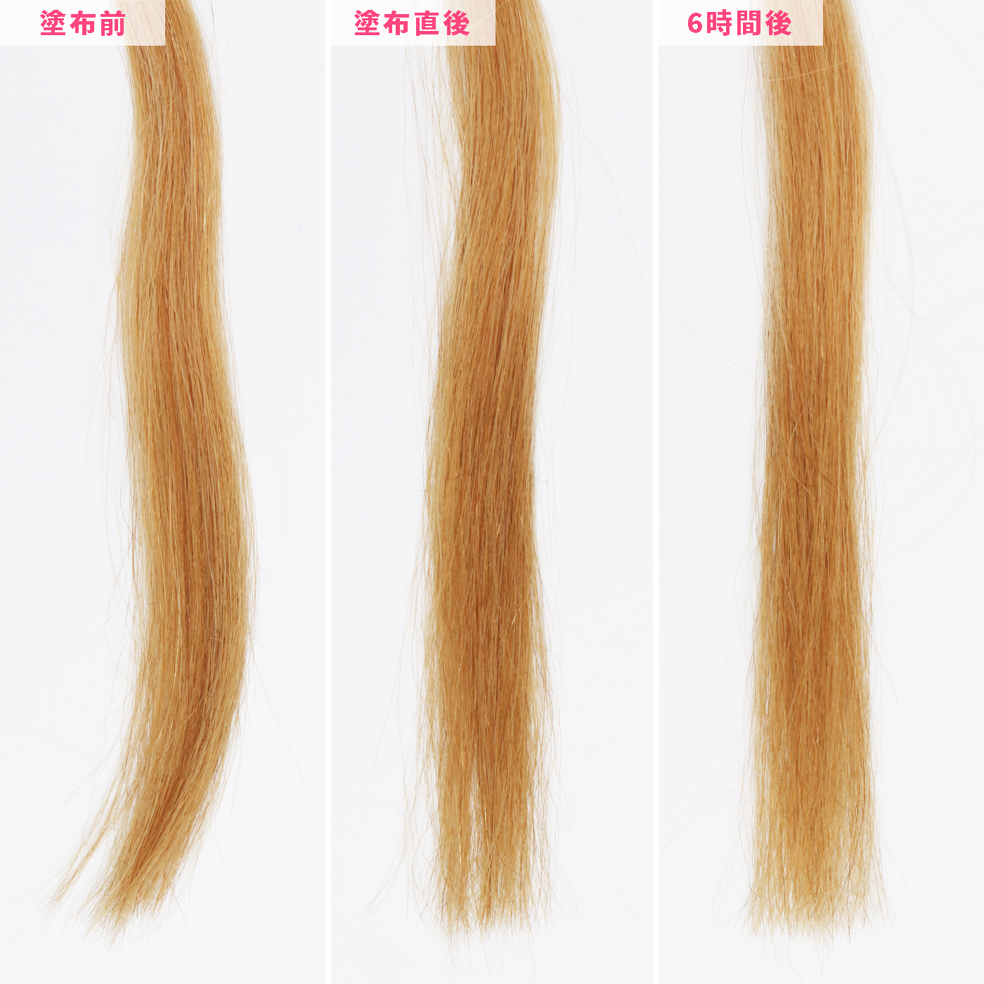 EGG REMEDY HAIR PACK 8