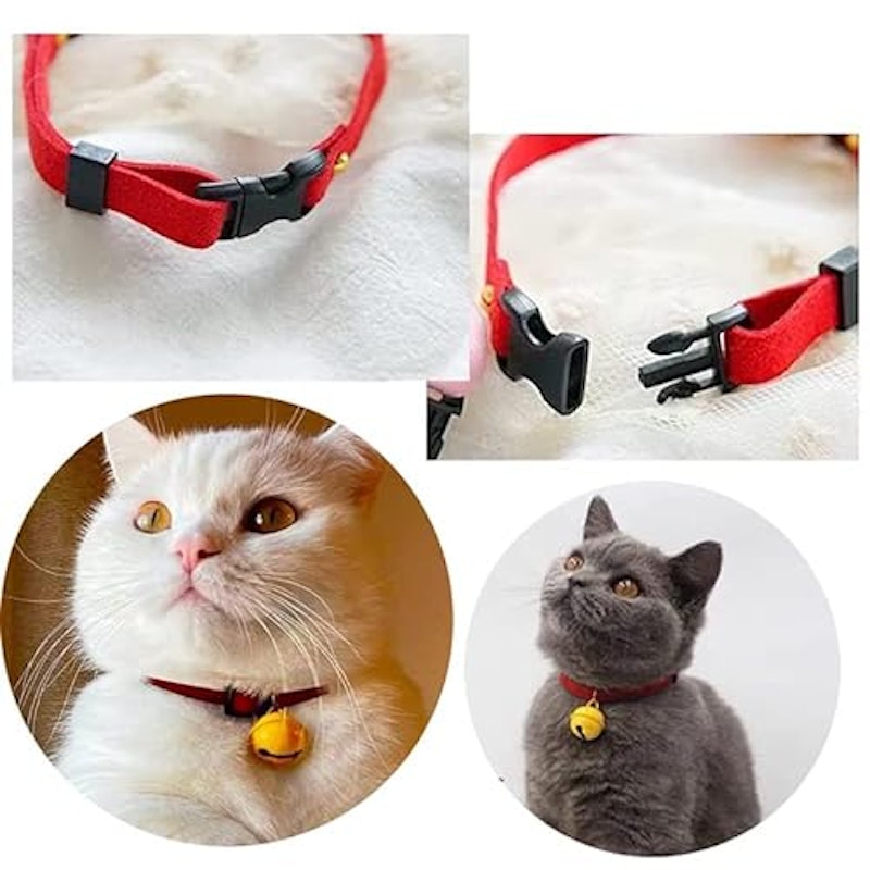 猫用首輪 5