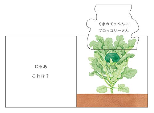 いろんなおやさいどこになる？  8