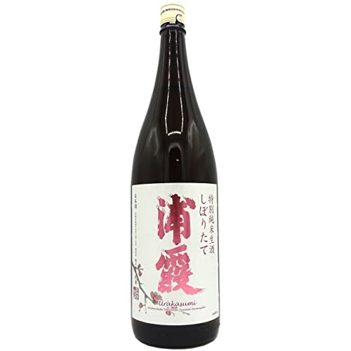 しぼりたて特別純米生酒 浦霞 1