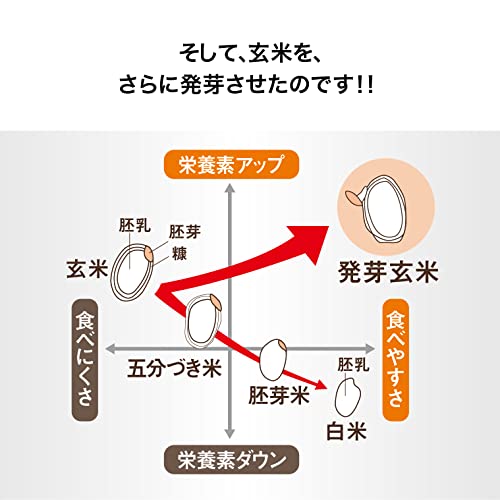 パワー デリシャス 4