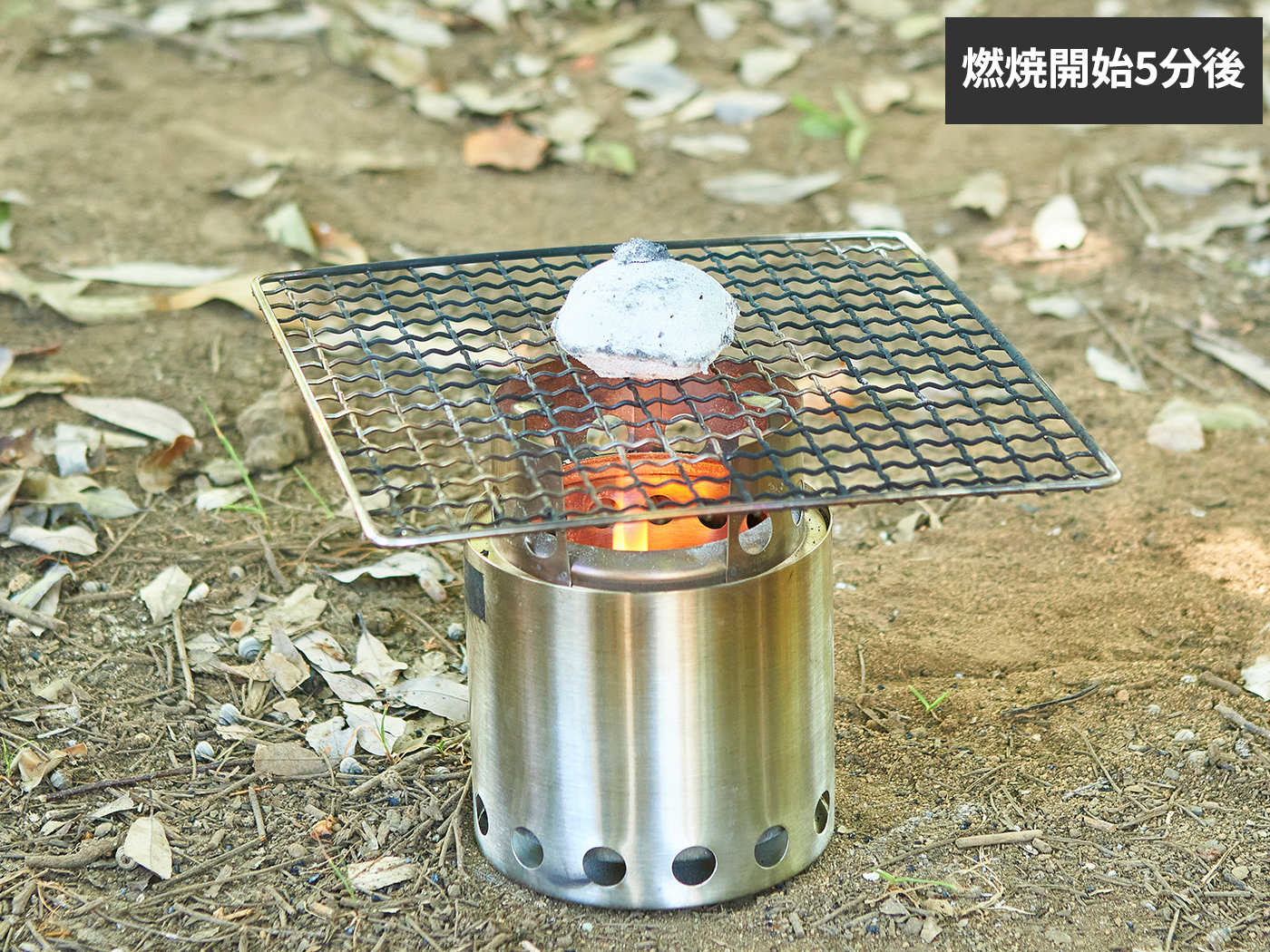 パック燃料 5