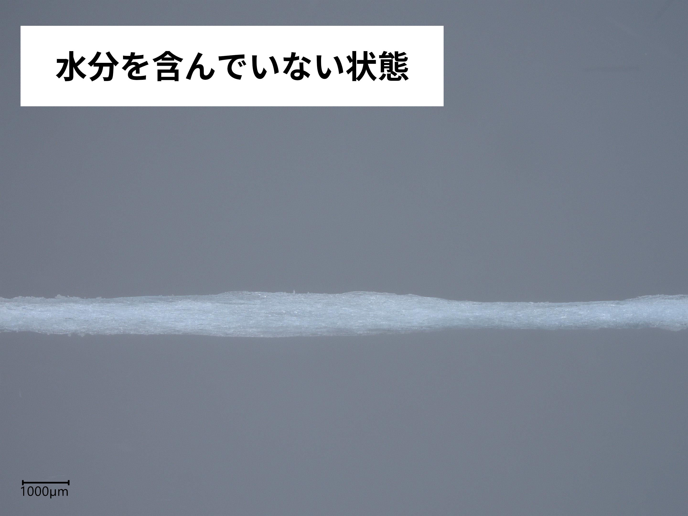 デンタルフロス クリーンバースト ペパーミント 3