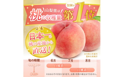 全3回発送 甲州市産桃狂い 全3品種 2