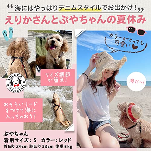 犬用ハーネス 3