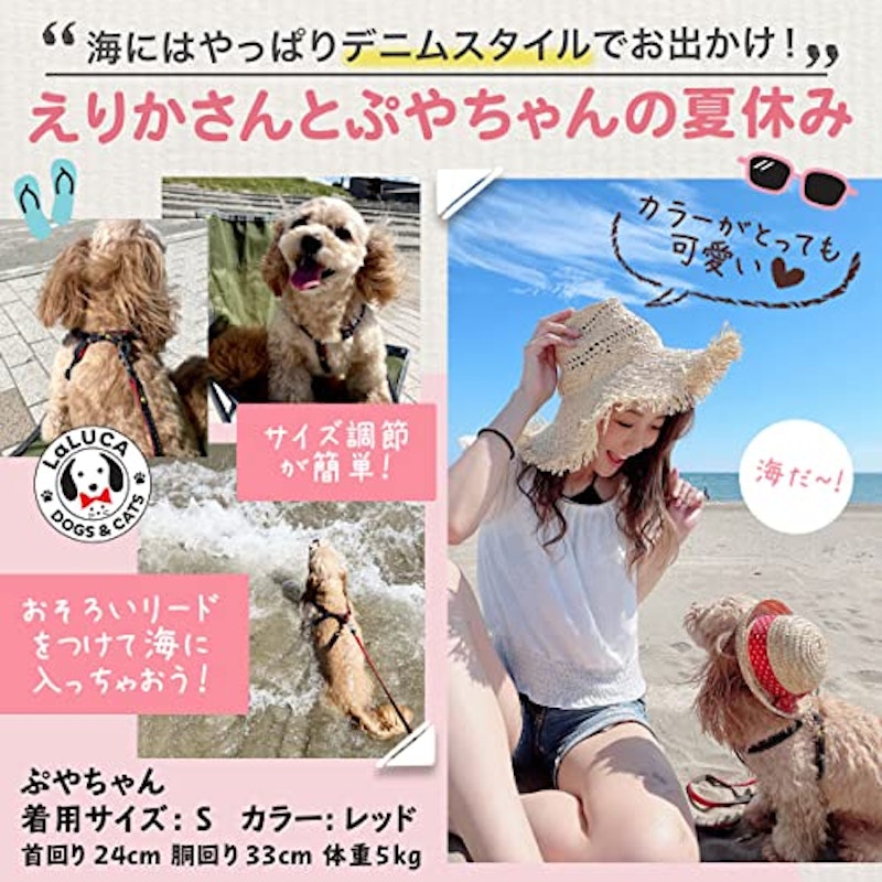 犬用ハーネス 3