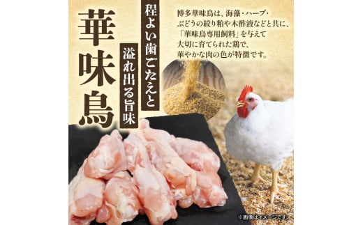 華味鳥 もつ鍋セット 2