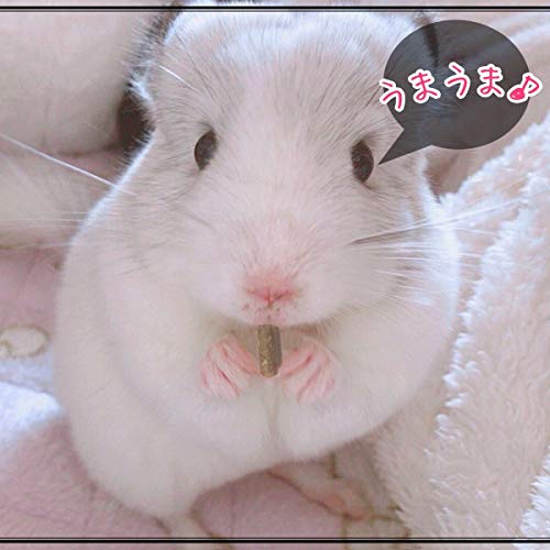 チンチラ・デグーのごはん 5