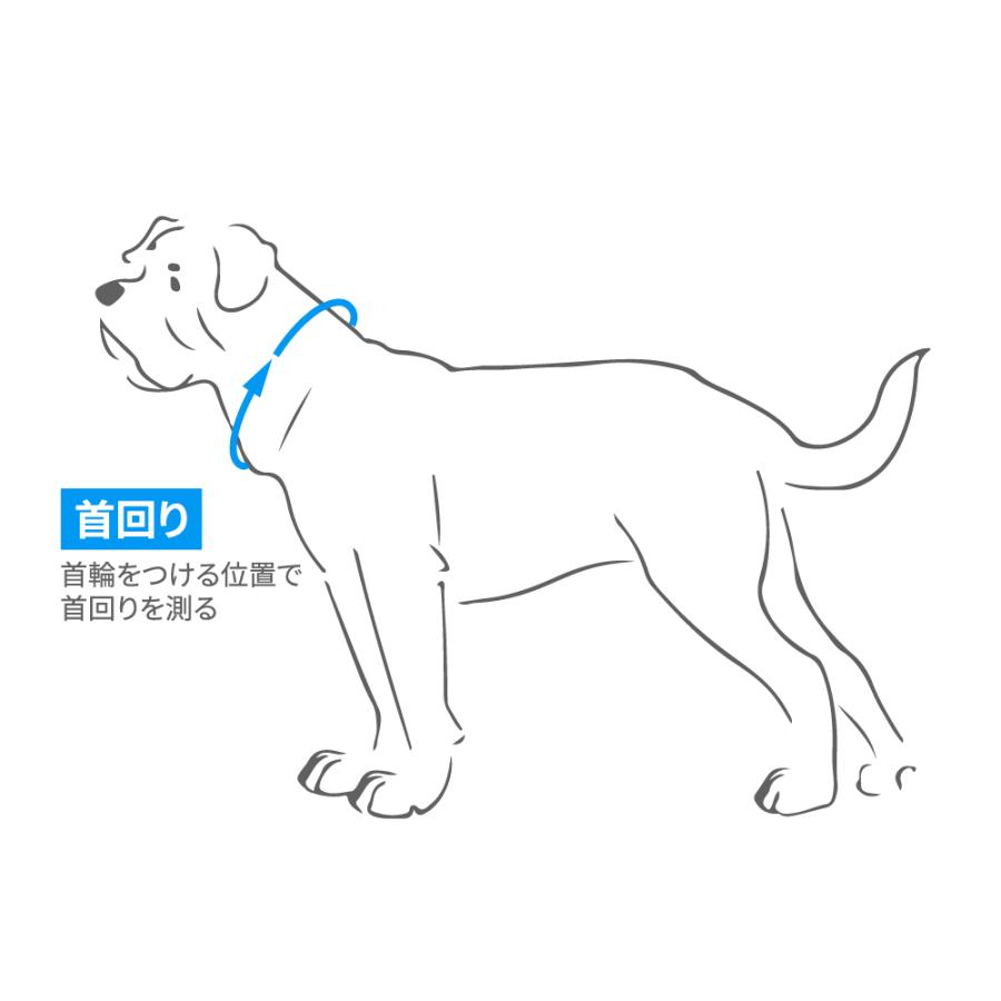 犬用首輪 3