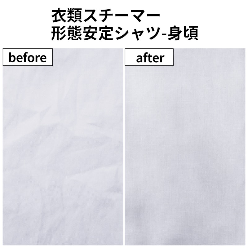 アクセススチーム フォース 10