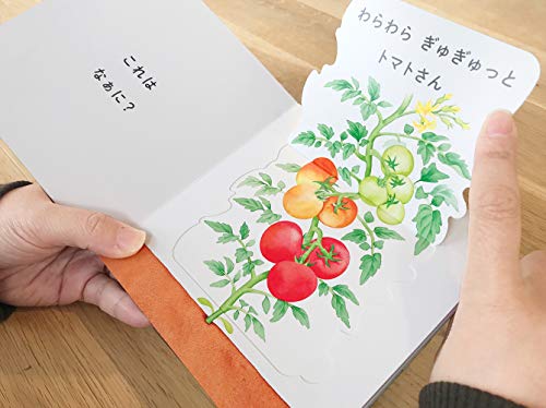 いろんなおやさいどこになる？  2