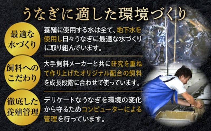 九州産 うなぎ蒲焼 6