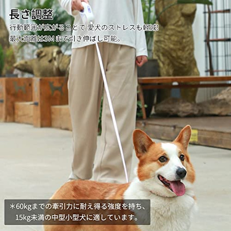 伸縮リード 4