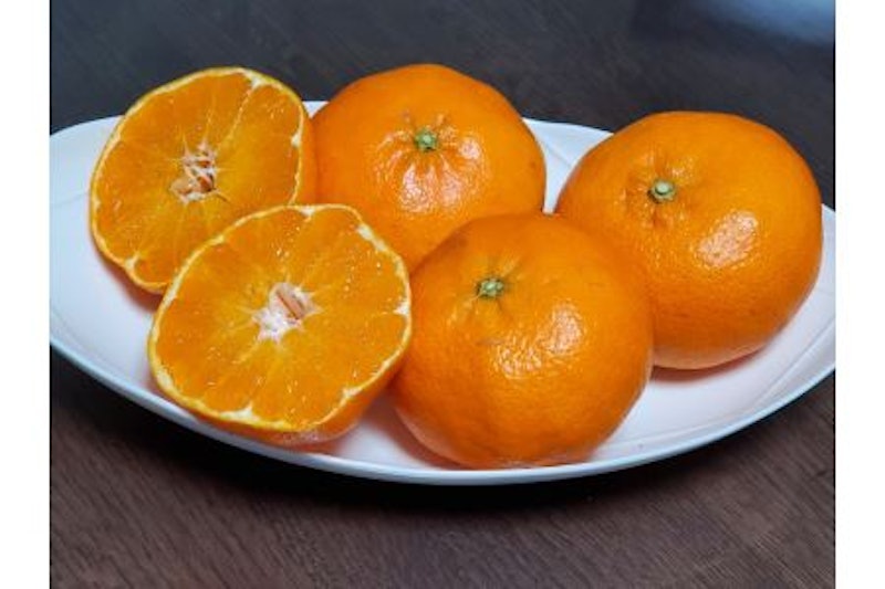 甘平 2