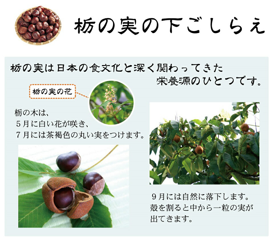 白とち餅 5