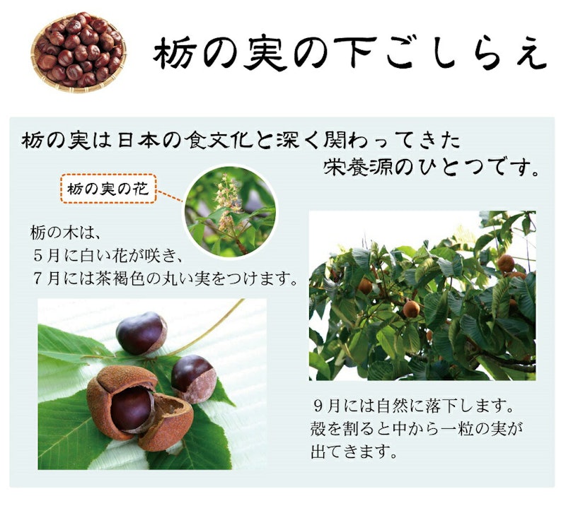 白とち餅 5